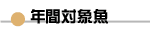 �N�ԑΏۋ�