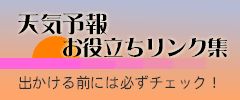 �V�C�\����`�F�b�N�I